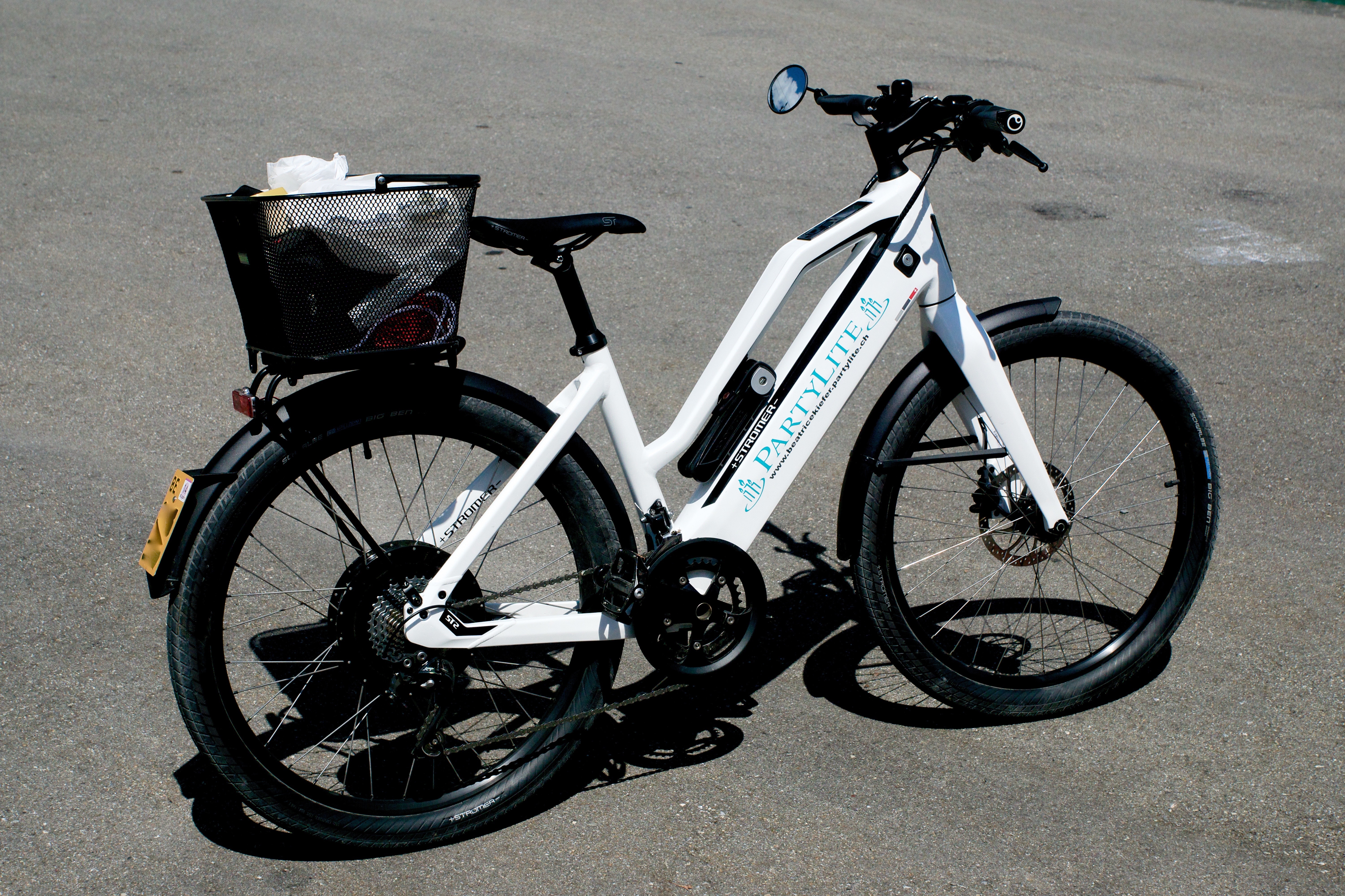 Electric Bikes Come with a Price